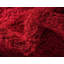 Tapis rouge sang Baynes-20250268-130905033
