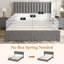 Structure de lit double, structure de lit tapissier en velours avec tête de lit à oreilles, 2 tiroirs de rangement, aucun sommier tapissier requis, gris-21769989-21769995