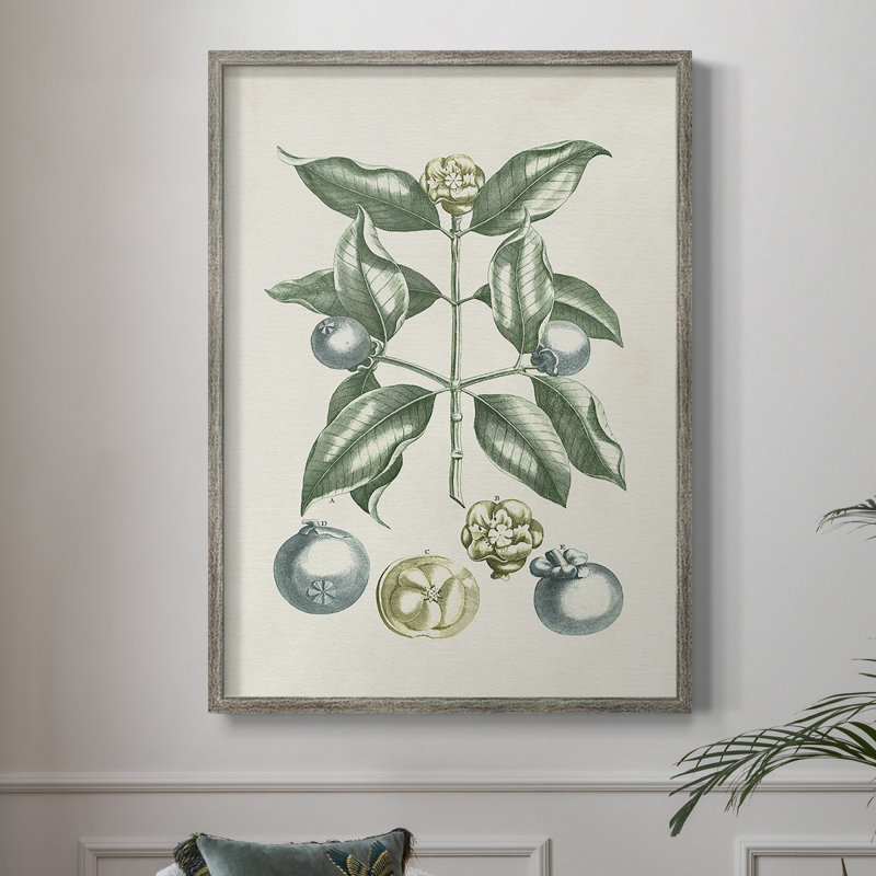 «Buchoz Tropicals VII», reproduction encadrée - bois massif, H 11 po x l 9 po