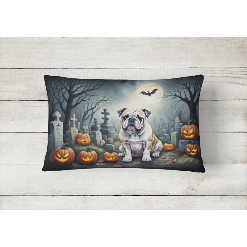 Other/No Pattern Outdoor Throw Pillow