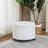 Jubeda Upholstered Ottoman