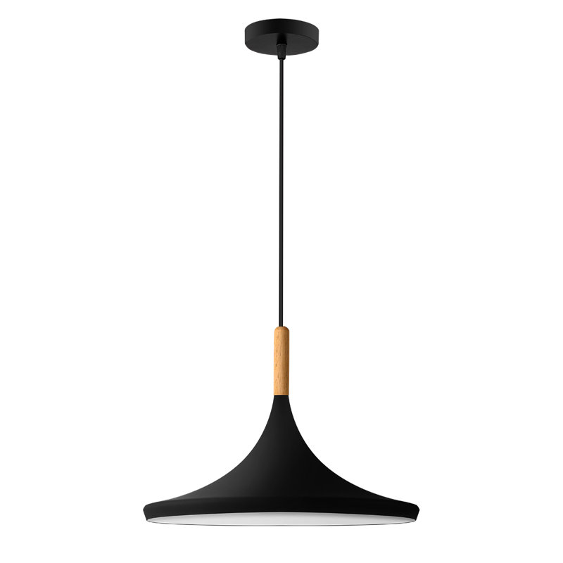 Luminaire suspendu à 1 lumière Charea