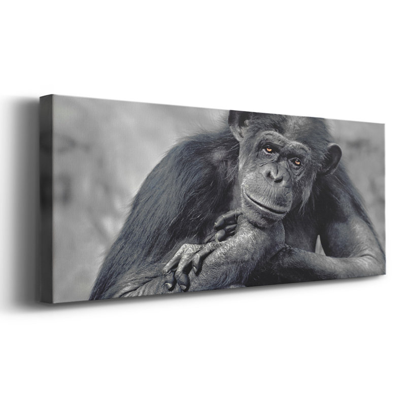 Captivé sur toile, H 20 po x l 50 po x P 1,5 po