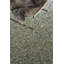 Ilmie Shag Area Rug-1175077169