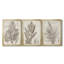 «Sepia Exotic Plants I», ensemble de 3 peintures sur toile encadrées-1945089308-1945089310