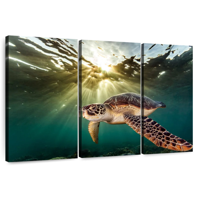Philippine Green Turtle, 42" H x 65" W