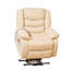 Armeta 96cm Wide Electric Lift-Assist Massage Heat Mobility Recliner Chair-2036727897