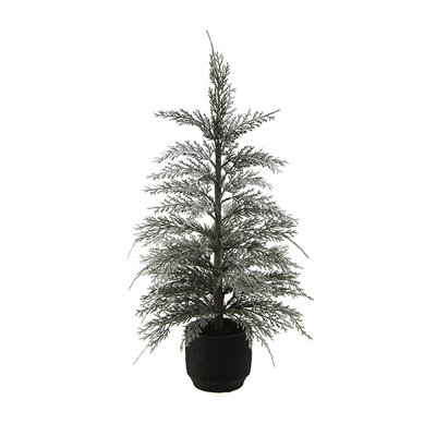POT EN FLUIDE SAISONNIER S / 2 Cedar
