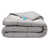 Light Gray is out of stock selected