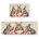 Lapins gris avec carottes