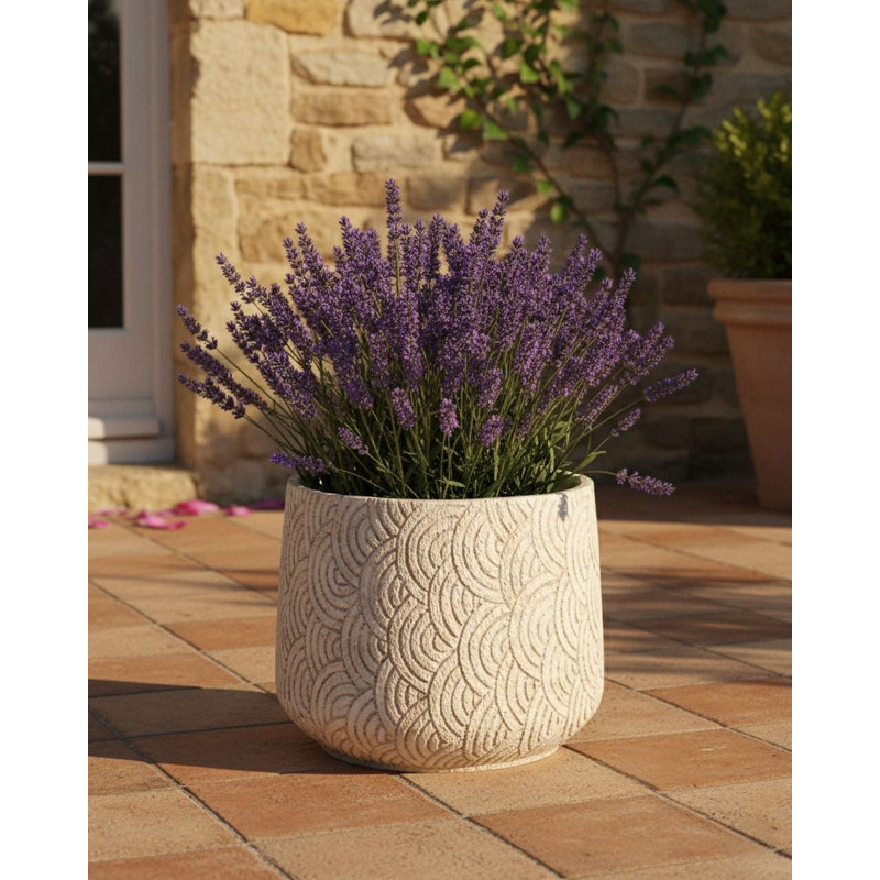 Pot Planter