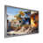 Silver Single Picture Framed