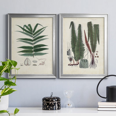" Collected Ferns IX " 2 - Pieces