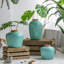 Vase de table Cevennes-1831604527