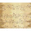 Hand Knotted Area Rug