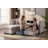 Dilen 5 - Piece Upholstered Sofa Modular Storage Couch & Ottoman-1257649983