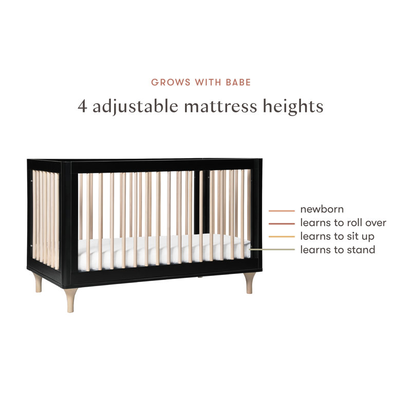 Lolly 3-in-1 Convertible Crib, Black/Washed Natural