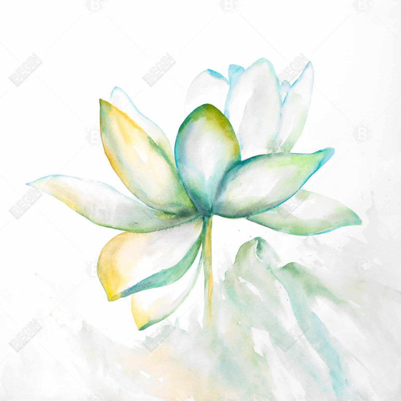 " Abstract Lotus Flower "