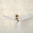 Marica 54'' Ceiling Fan with LED Lights-2116960471