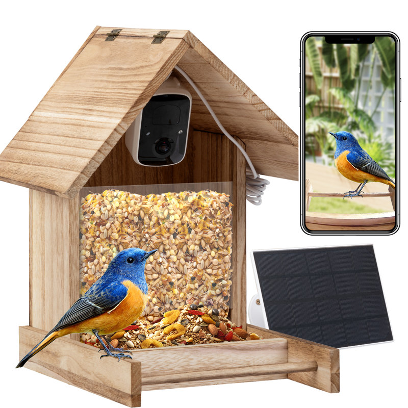 Mangeoire d'oiseaux en bois à énergie solaire avec caméra d'observation haute définition 1 080 P (pile au Lithium)