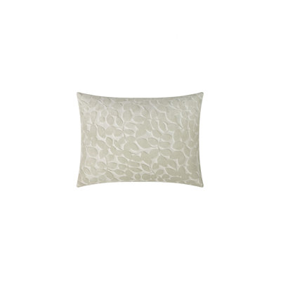Velvet Pillow Cover & Insert