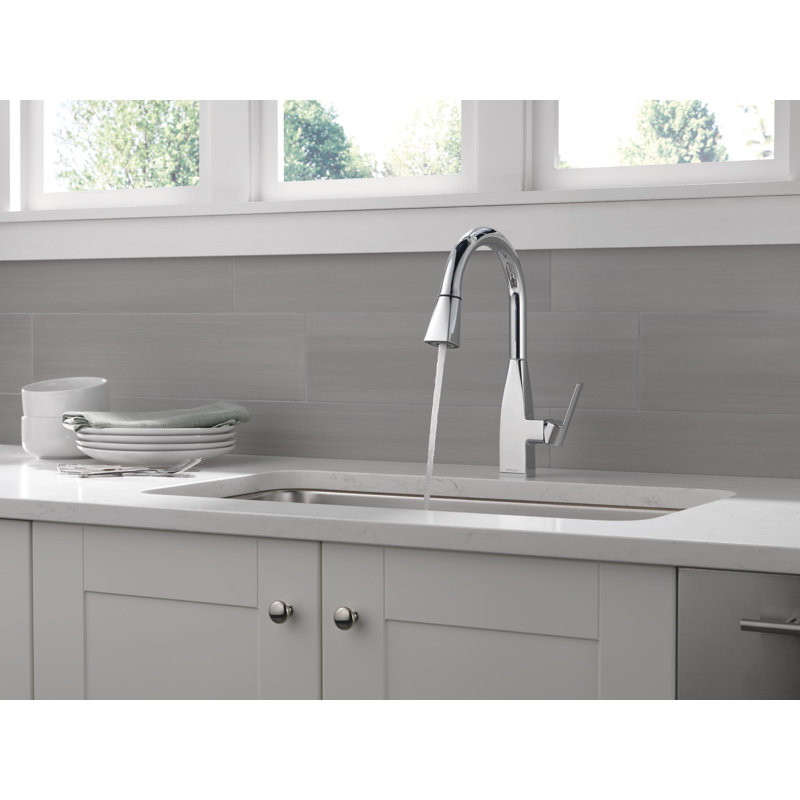 Robinet d'évier de cuisine avec douchette extractible Xander, Chrome chrome