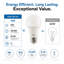 Ampoules DEL Euri Lighting A19, 9 W, 810 lm, équivalent 60 W, 3000 K, culot E26, homologuées CEC/JA8 et UL, ensemble de 2