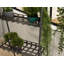 Sansome Plant Stand