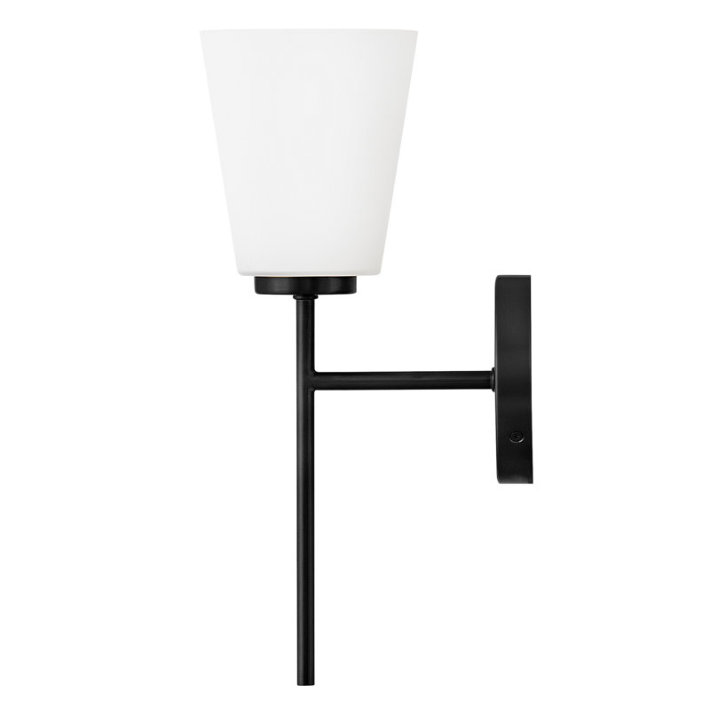 Black Etched Opal Glass Single Light Vanity Sconce
