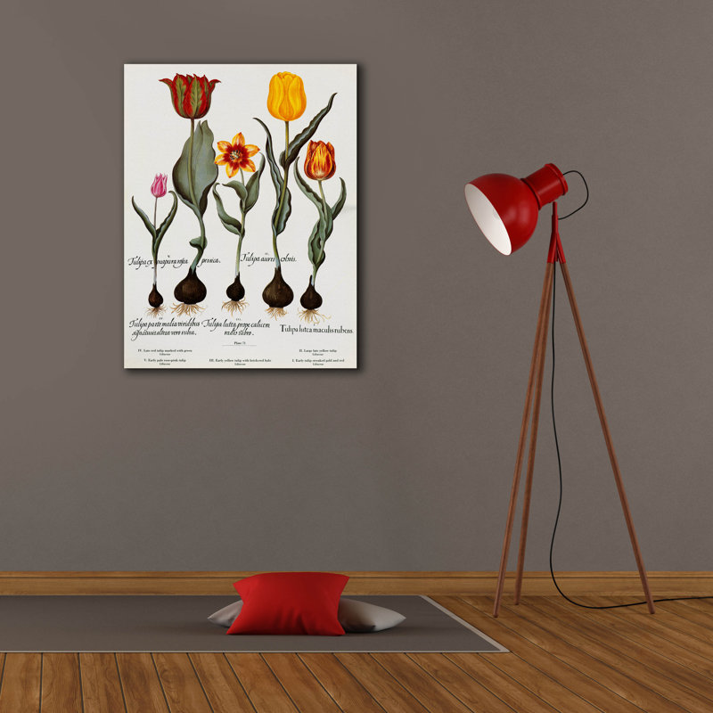 «Tulips» par Art Licensing Studio, art mural sur toile, H 34 po x l 26 po