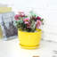 Edolie 17.8 cm Indoor Ceramic Pot Planter-668006041