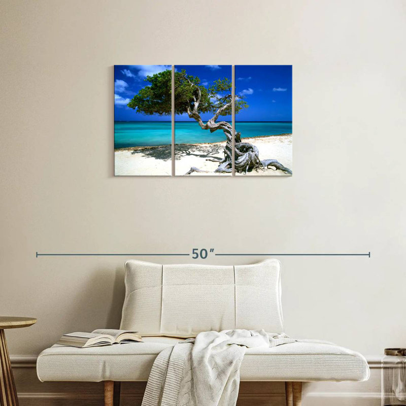 Divi Divi arbre Aruba Petites Antilles, H 20 po x l 33 po