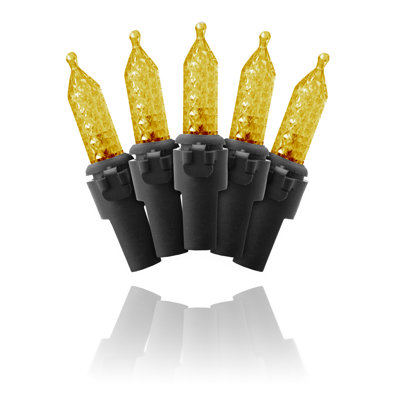 100 Count LED Light String