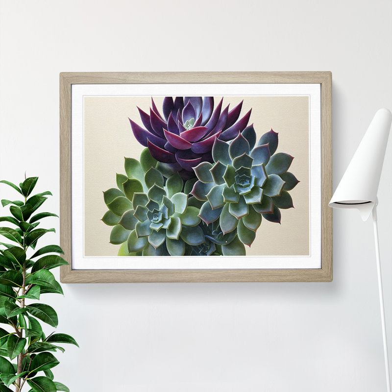 Watercolour Succulent Plant Vol.2 - Framed Print, 46cm H x 64cm W, Grey