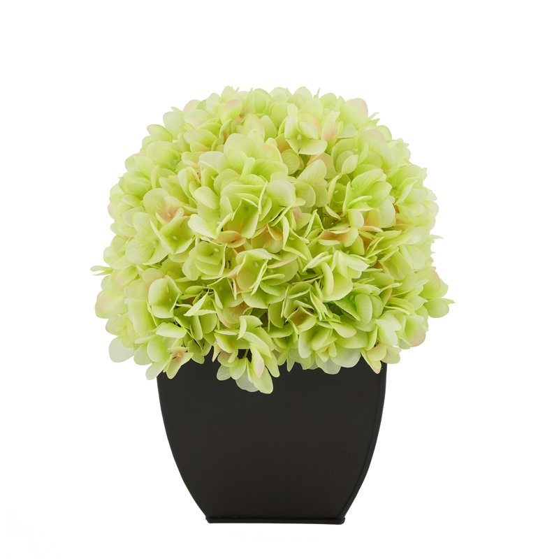 Fabric Hydrangea Arrangement in Pot, Black, Green