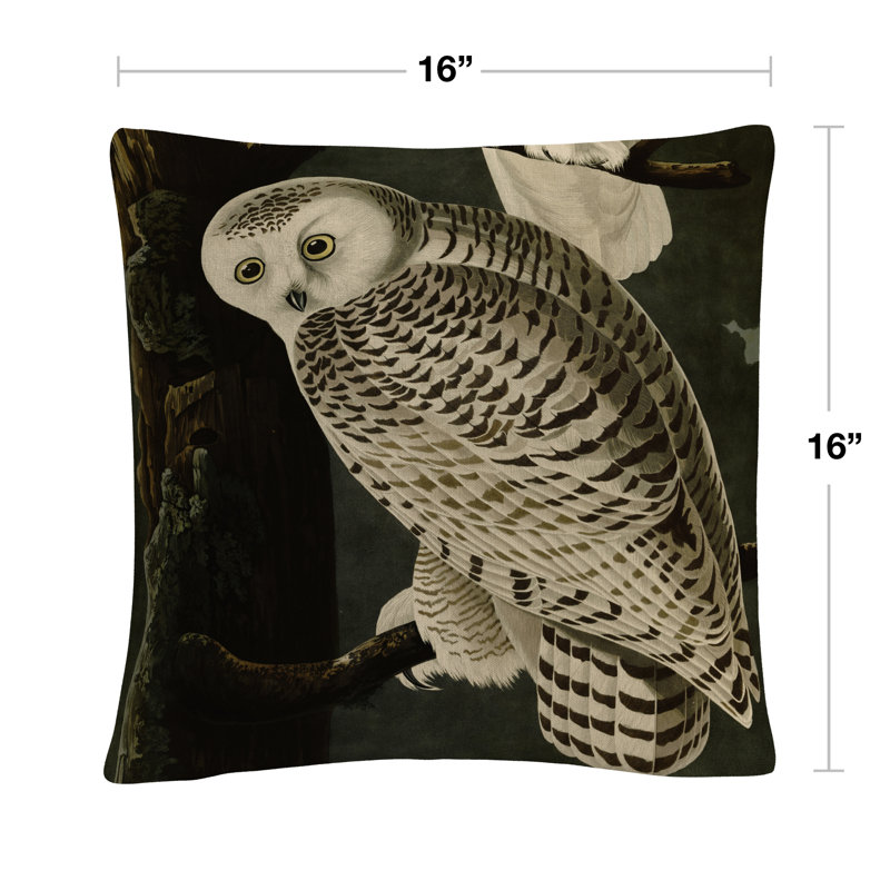 Coussin John James Audubon