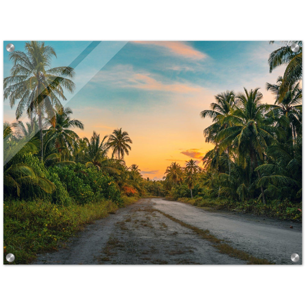 Bay Isle Home HAWAII BACKROAD PRINT Wayfair