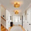 30Cm Elegant Rattan Flush Mount-642030909