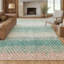 Tapis intérieur / extérieur lavable à la machine Chantille ACN2740-587954063-587954067