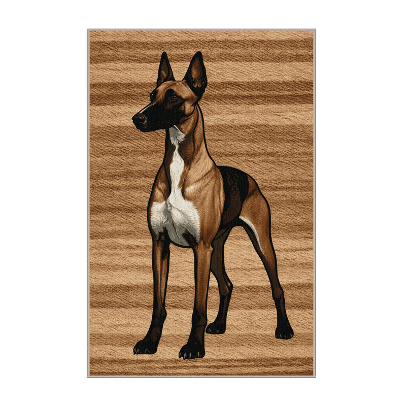  Tapis lavable pour chiens Azawagh, Rectangulaire 2 pi x 3 pi
