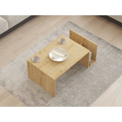 Shelbyville Abstract Coffee Table with Storage