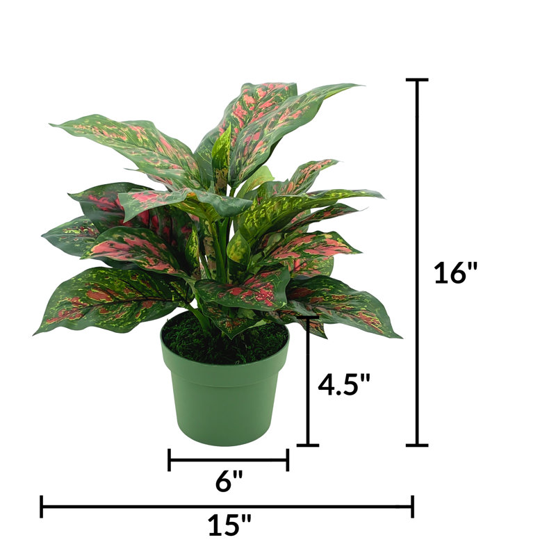 Faux rose et vert Dieffenbachia
