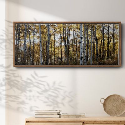 " Sunny Grove "
