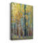 Toile tendue Aspen Grove I Premium Gallery - prête à être accrochée-1732055165
