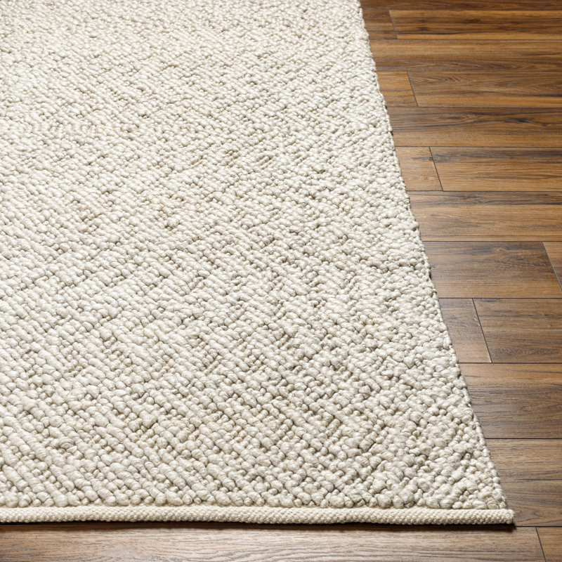 Vesta Handmade Hand Woven Light Gray Rug, Rectangle 2' x 3'