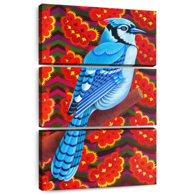 Geai bleu Brampt