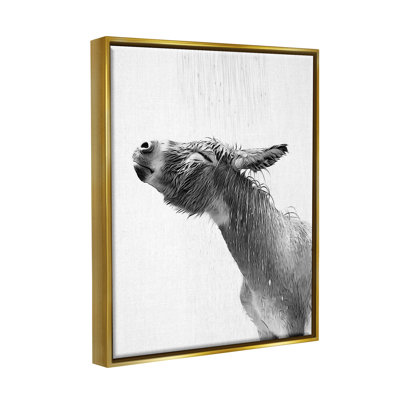 " Donkey Bathroom Splash "