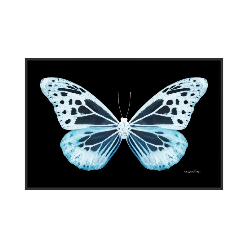« miss papillon x-ray xxiv », impression sur toile, H 18 po x l 26 po x P 1,5 po, Toile avec cadre noir