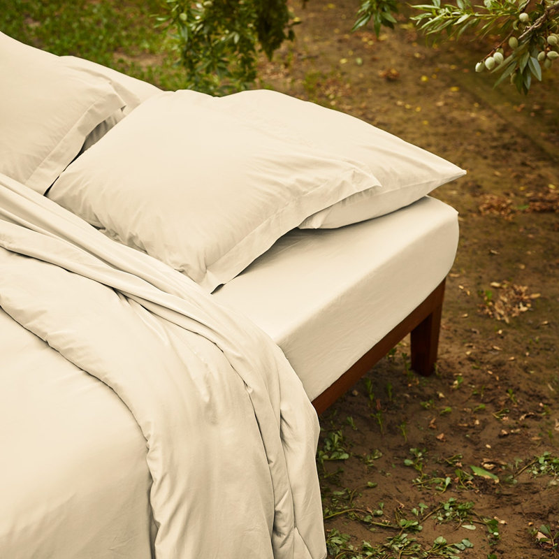 Ensemble de draps 100% coton 200 fils, Très grand, Ivoire