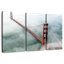 Lilie Fog In Golden Gate Bridge
